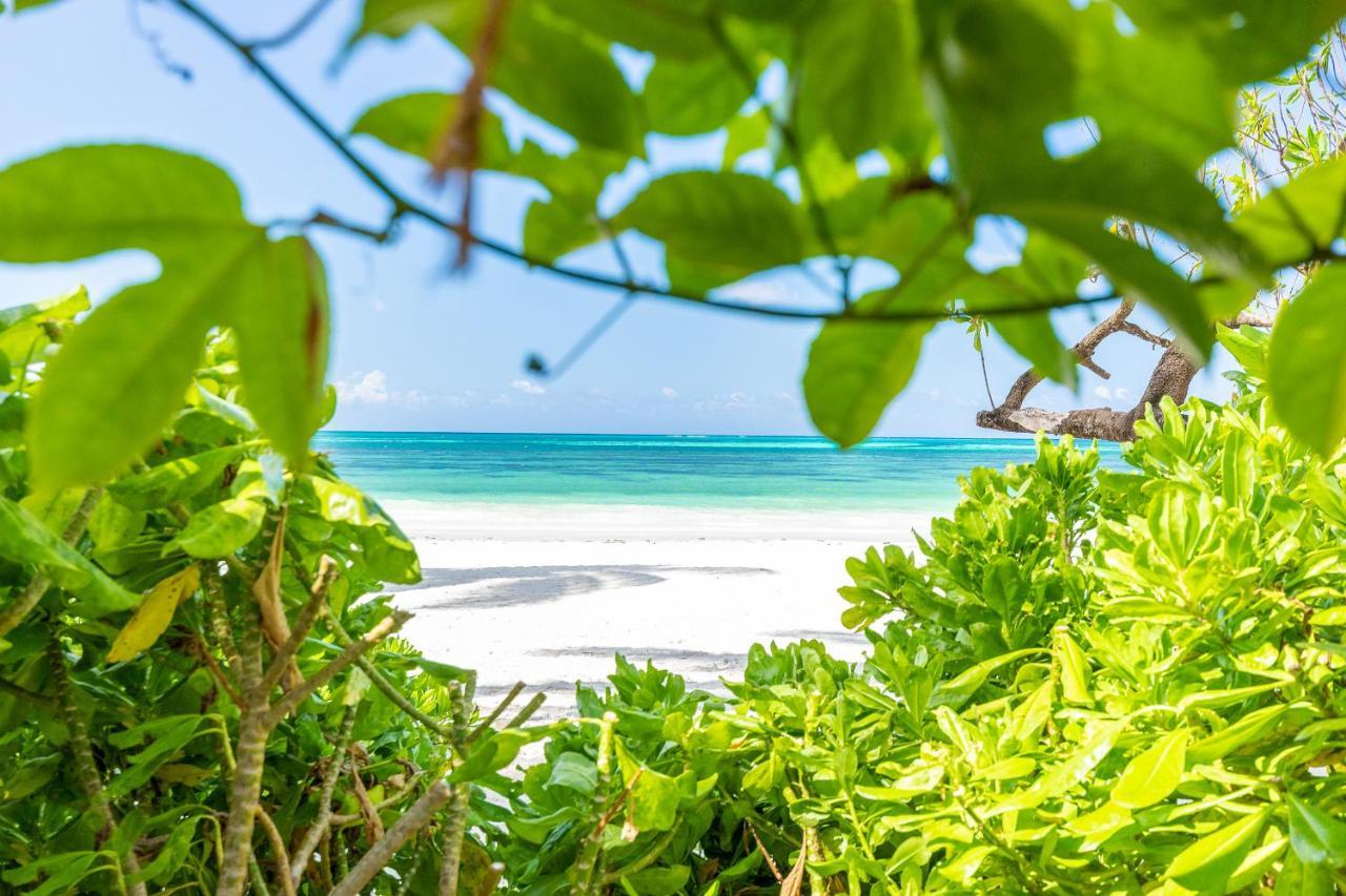 Apartamento Surfescape Zanzibar Kiwengwa  Exterior foto