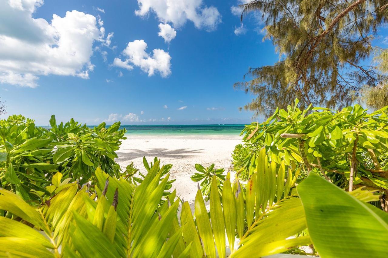 Apartamento Surfescape Zanzibar Kiwengwa  Exterior foto