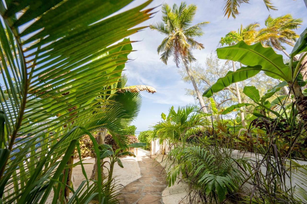 Apartamento Surfescape Zanzibar Kiwengwa  Exterior foto